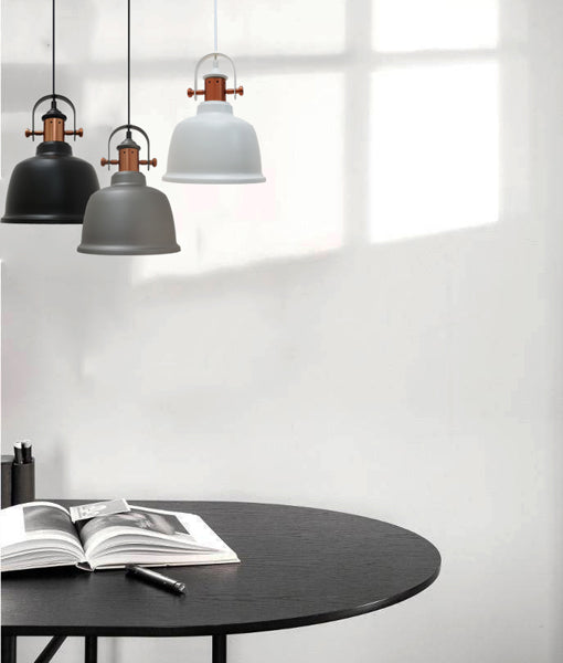 ALTA Interior Pendant Light 