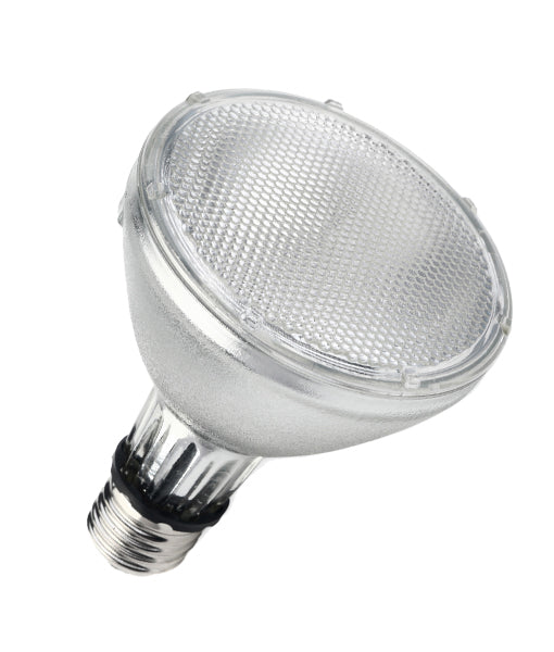 PAR Ceramic Metal Halide Globes