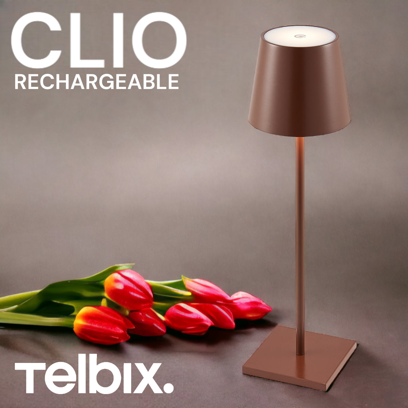 CLIO RECHARGEABLE TABLE LAMP