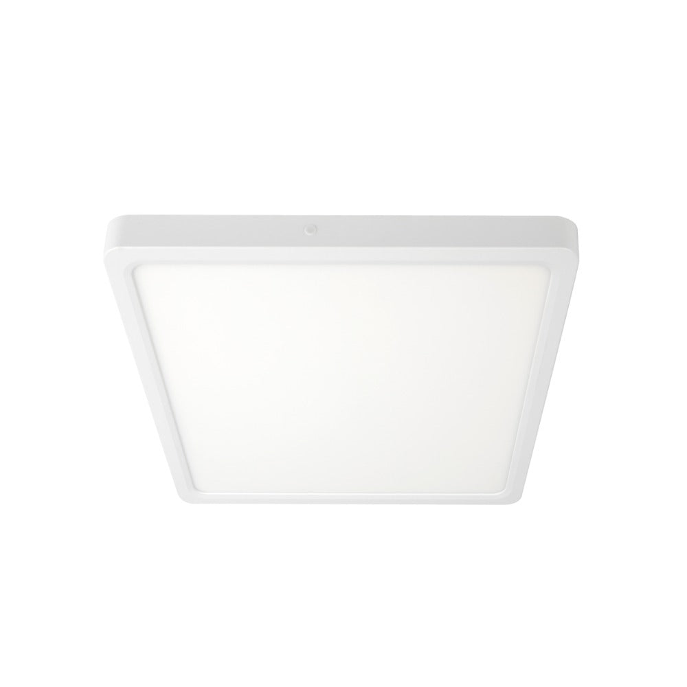 Lunos 23cm Square Oyster