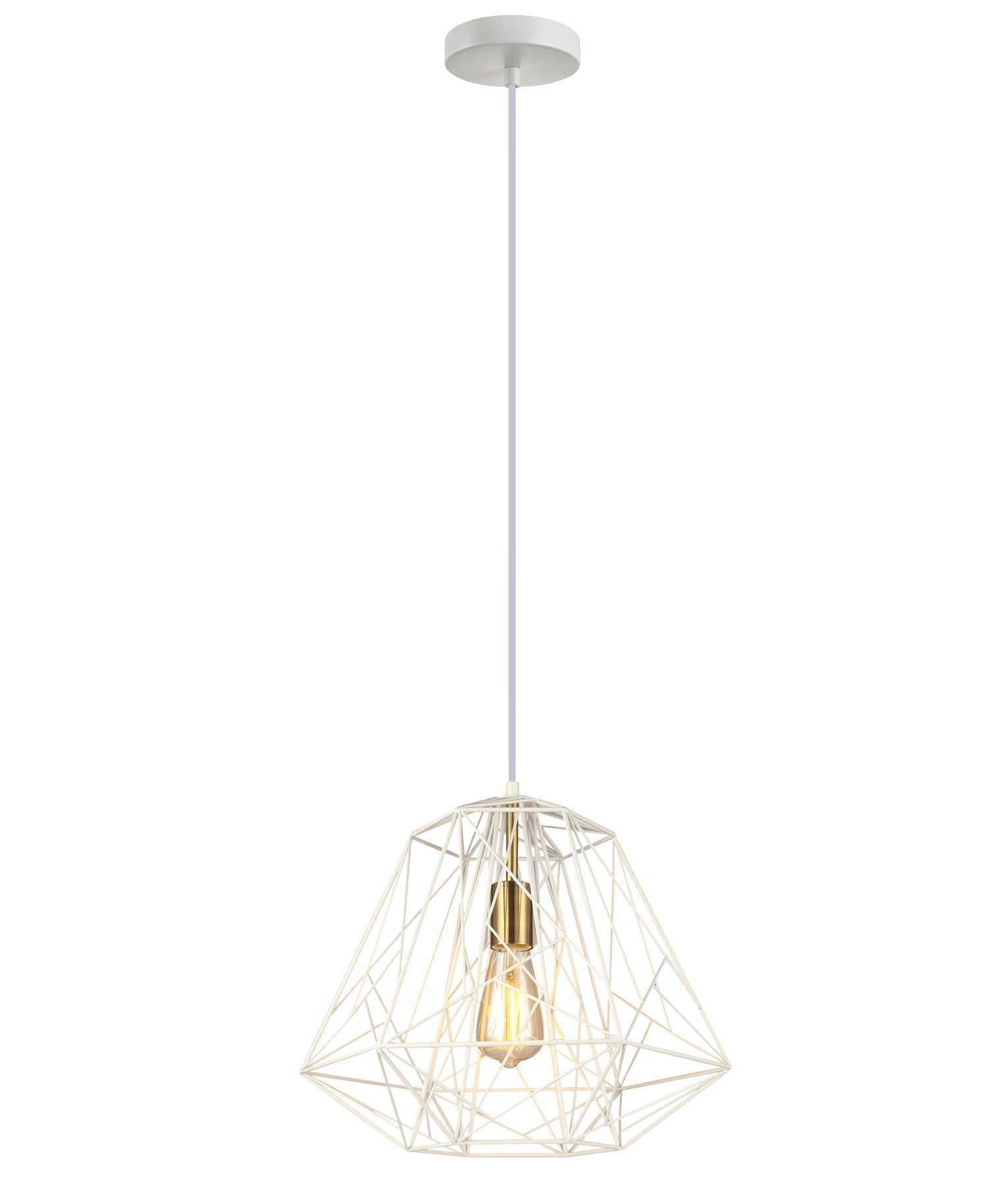 MARTE Interior Single Iron Cage Pendant Lights