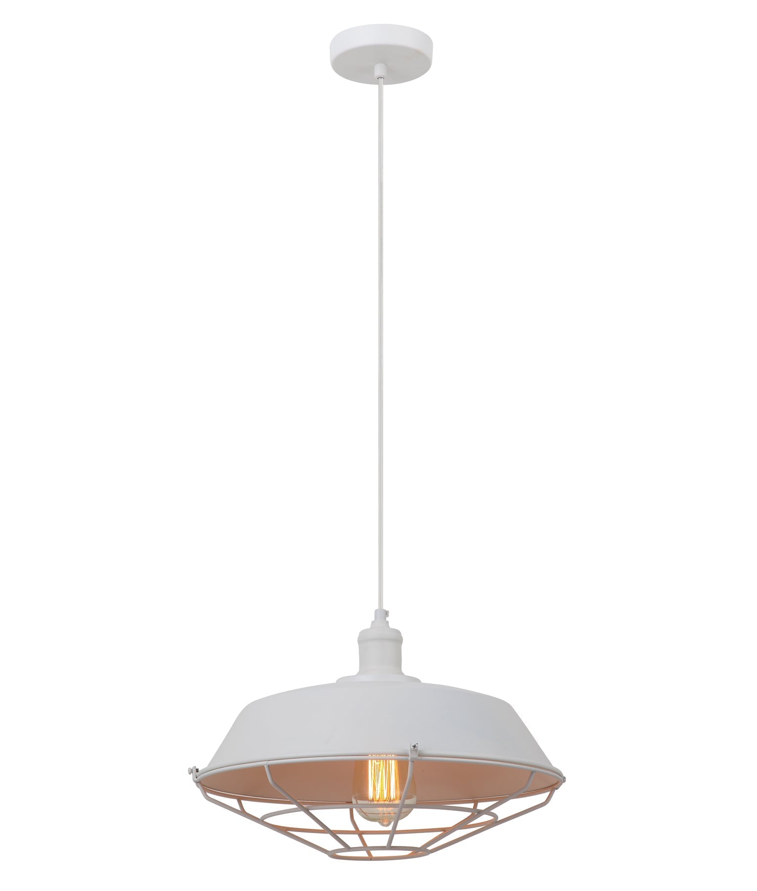 MATRIX Interior Single Pendant Light