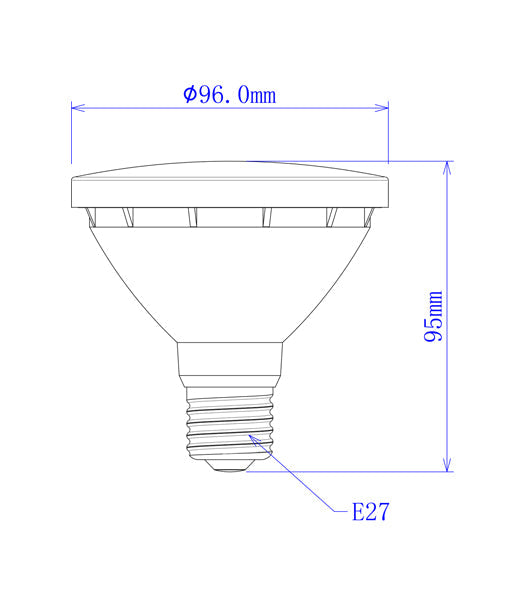 PAR30 LED Globe (10W)