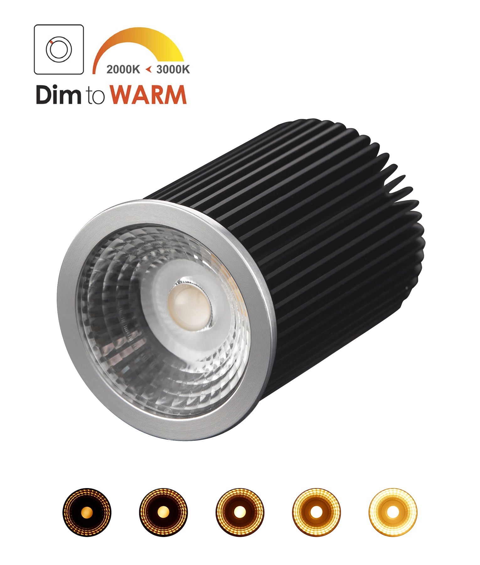 RETROD: Retrofit LED DIMMABLE-TO-WARM Globe (8.2W)